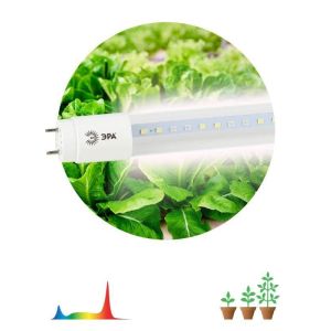Лампа светодиодная FITO-9W-Ra90-Т8-G13-NL 9Вт T8 линейная 46LED 2835 IP20 35000ч для растений полноспектральная стекло Эра Б0042988
